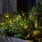 100 Warm White Outdoor Micro Fairy Lights