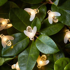 20 Bee Outdoor Micro Fairy Lights