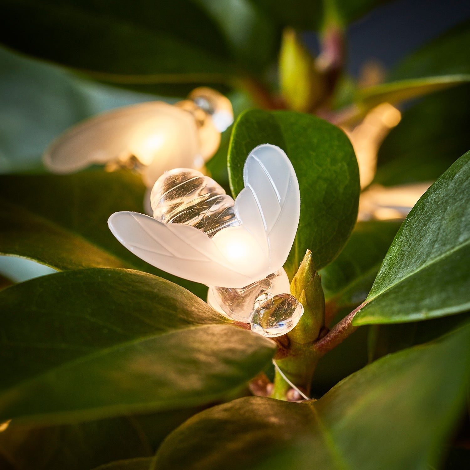 20 Bee Outdoor Micro Fairy Lights