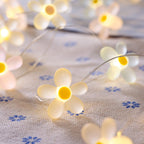 20 Flower Micro Lights