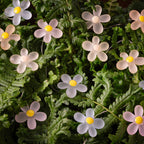 20 Flower Micro Lights