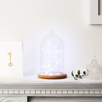 20 White LED Micro Battery Fairy Lights