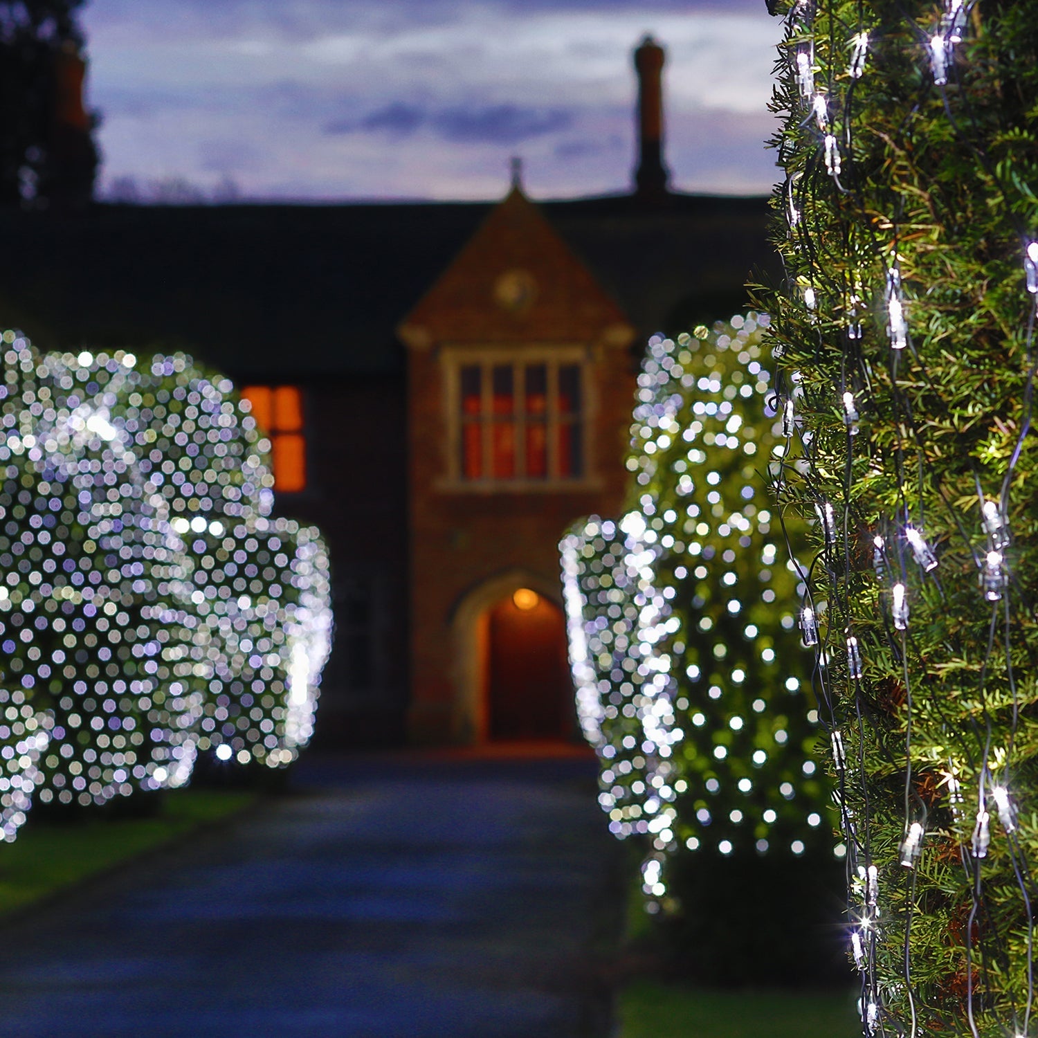 Plus Connect 2m x 2m 144 White Connectable Net Lights Black Cable