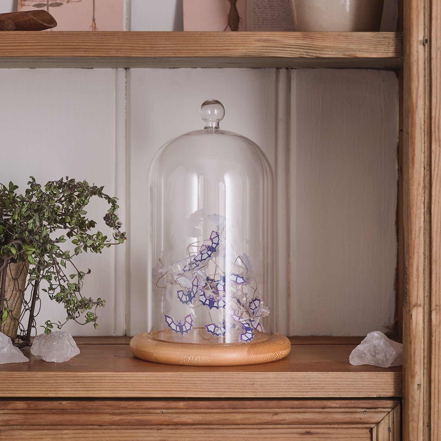 Glass Dome with Halloween Bat LED Micro Lights