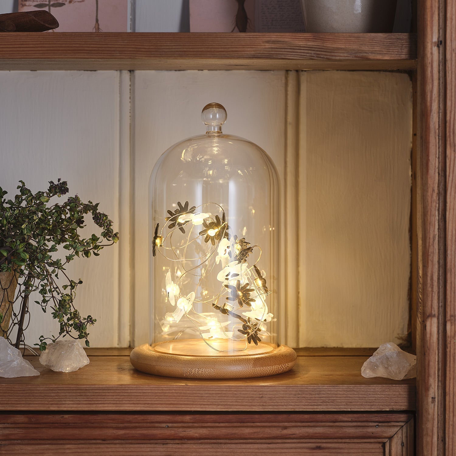 Glass Dome with Ghost & Spider LED Micro Lights