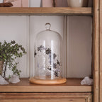 Glass Dome with Ghost & Spider LED Micro Lights