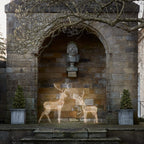 1.5m Duchy Stag LED Light Up Reindeer Duo
