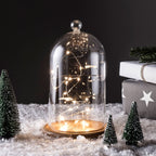 Micro Fairy Light Bell Jar Bundle