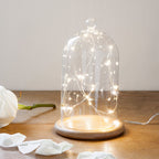 Micro Fairy Light Bell Jar Bundle