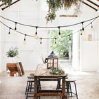 Ingenious Connect 10 Large Globe Bulb Festoon Light Bundle