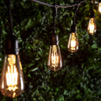 Ingenious Connect 10 Squirrel Cage Bulb Festoon Light Bundle