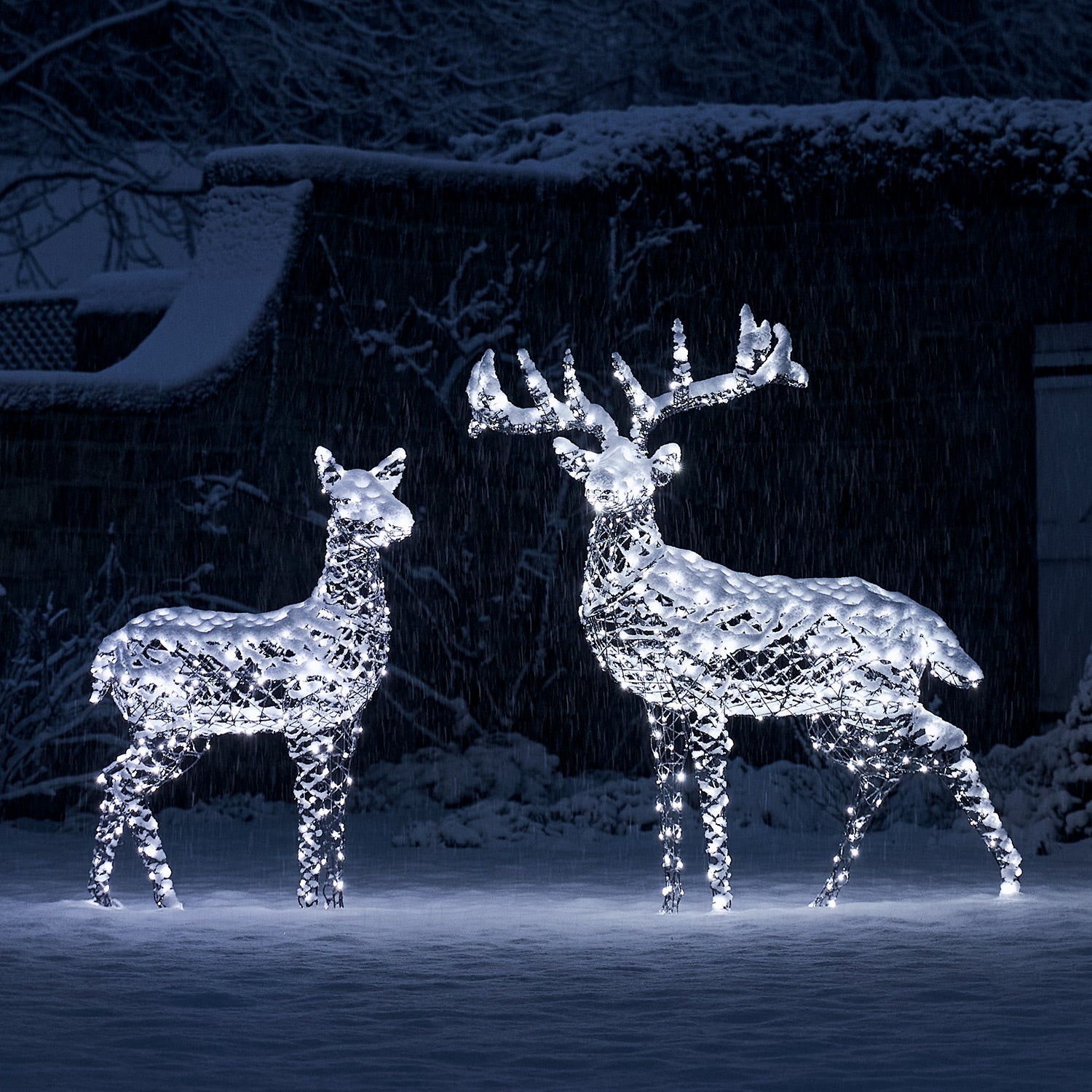 Large Harlow Rattan Stag & Doe Dual Colour LED Light Up Reindeer Duo