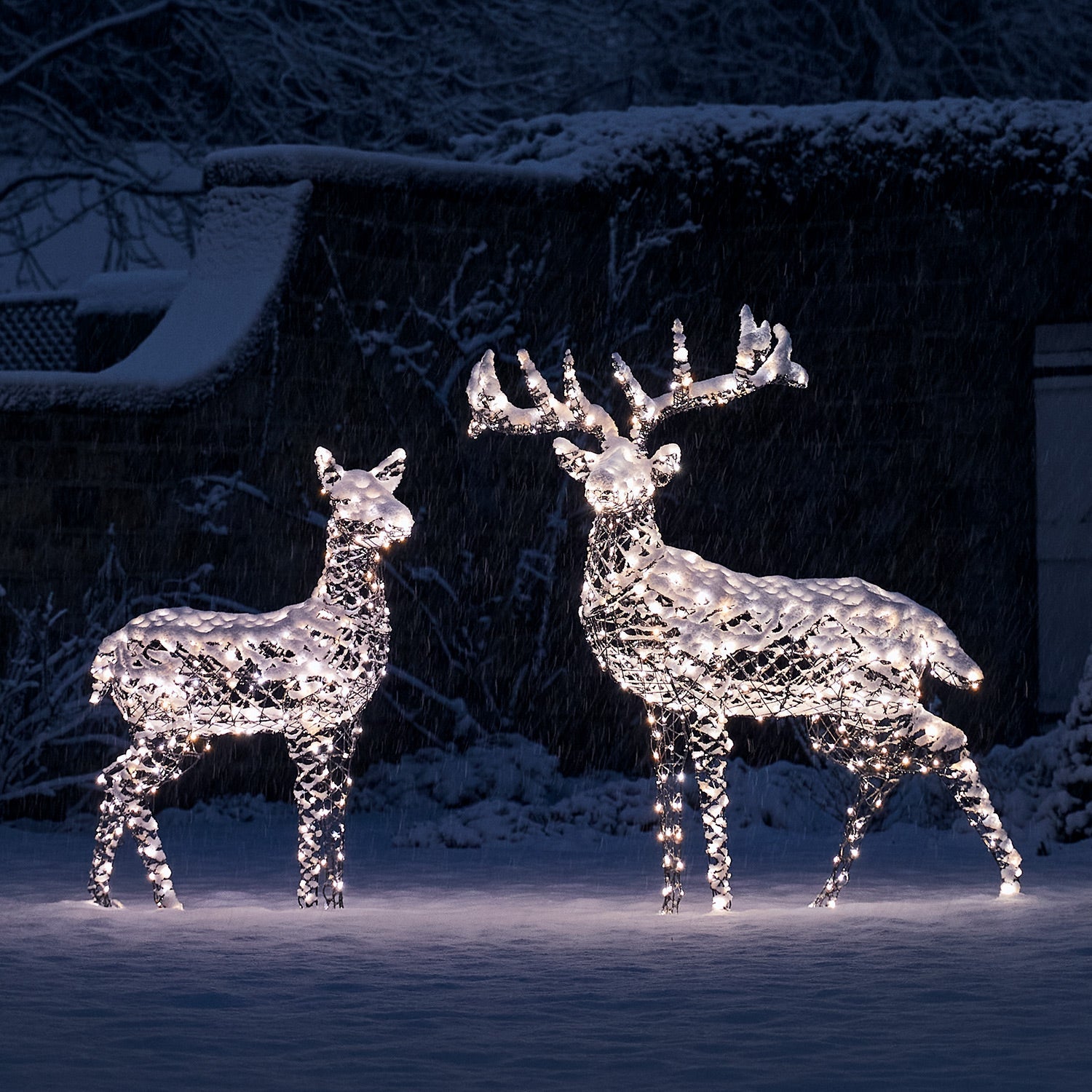 Large Harlow Rattan Stag & Doe Dual Colour LED Light Up Reindeer Duo