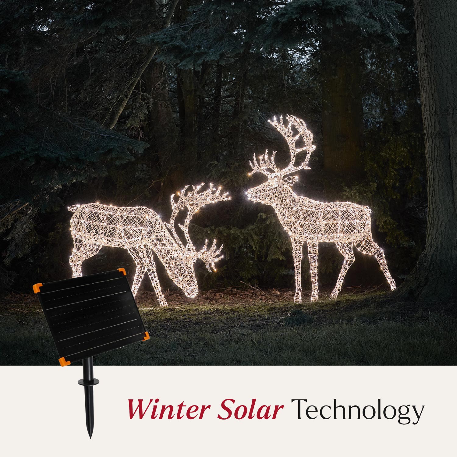 1.8m XL Solar Powered Arkendale Reindeer