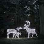 1.8m XL Arkendale Stag LED Light Up Reindeer Duo