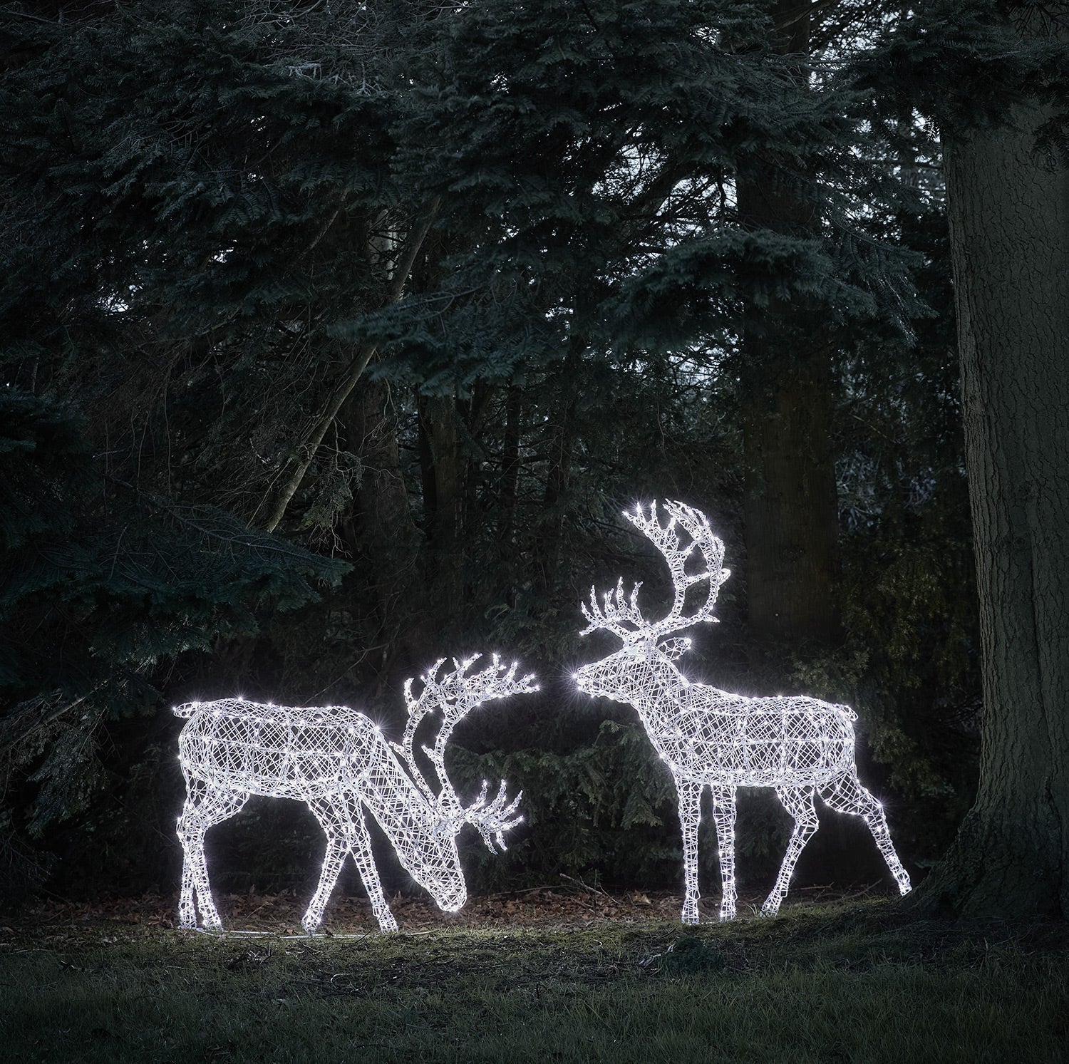1.8m XL Arkendale Stag LED Light Up Reindeer Duo