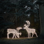 1.8m XL Arkendale Stag LED Light Up Reindeer Duo