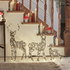 56cm Mini Studley LED Light Up Reindeer Family