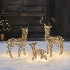 56cm Mini Studley LED Light Up Reindeer Family