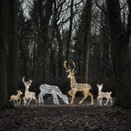 Dual LED Studley Stag & Doe Light Up Reindeer Duo