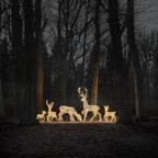 Dual LED Studley Stag & Doe Light Up Reindeer Duo