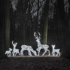 Dual LED Studley XL Light Up Reindeer Family