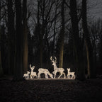 Dual LED Studley Light Up Reindeer Family