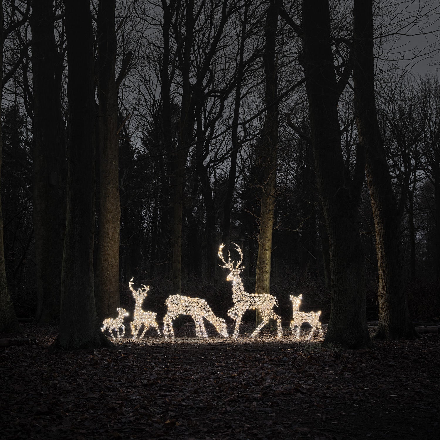 Dual LED Studley Light Up Reindeer Family
