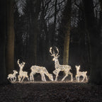 Dual LED Studley XL Light Up Reindeer Family