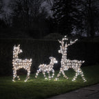 Dual LED Studley Light Up Reindeer Family