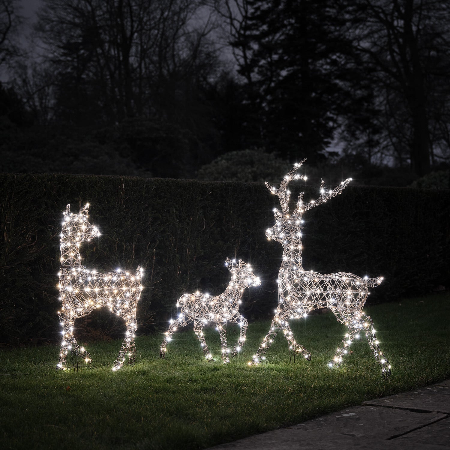 Dual LED Studley Light Up Reindeer Family