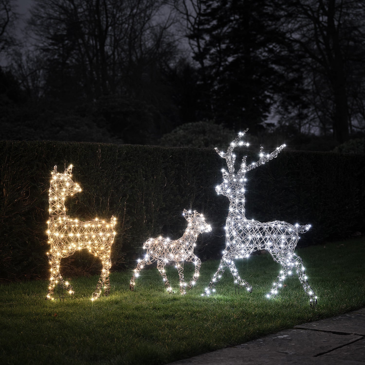 Dual LED Studley XL Light Up Reindeer Family