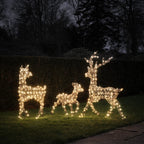 Dual LED Studley Light Up Reindeer Family