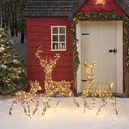 Dual LED Studley Light Up Reindeer Family