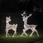 Dual LED Studley Stag & Doe Light Up Reindeer Duo