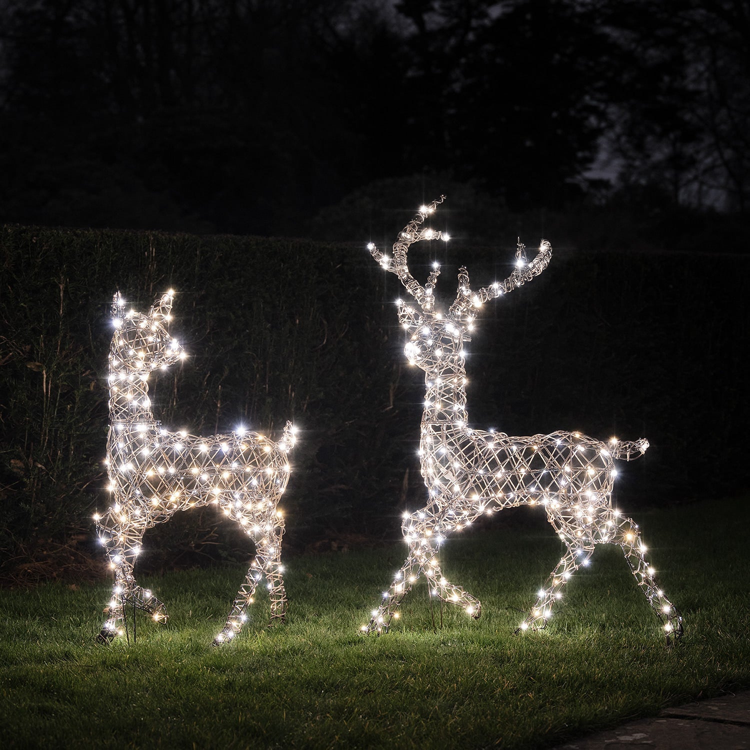 Dual LED Studley Stag & Doe Light Up Reindeer Duo