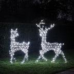 Dual LED Studley Stag & Doe Light Up Reindeer Duo