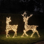 Dual LED Studley Stag & Doe Light Up Reindeer Duo