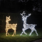 Dual LED Studley Stag & Doe Light Up Reindeer Duo