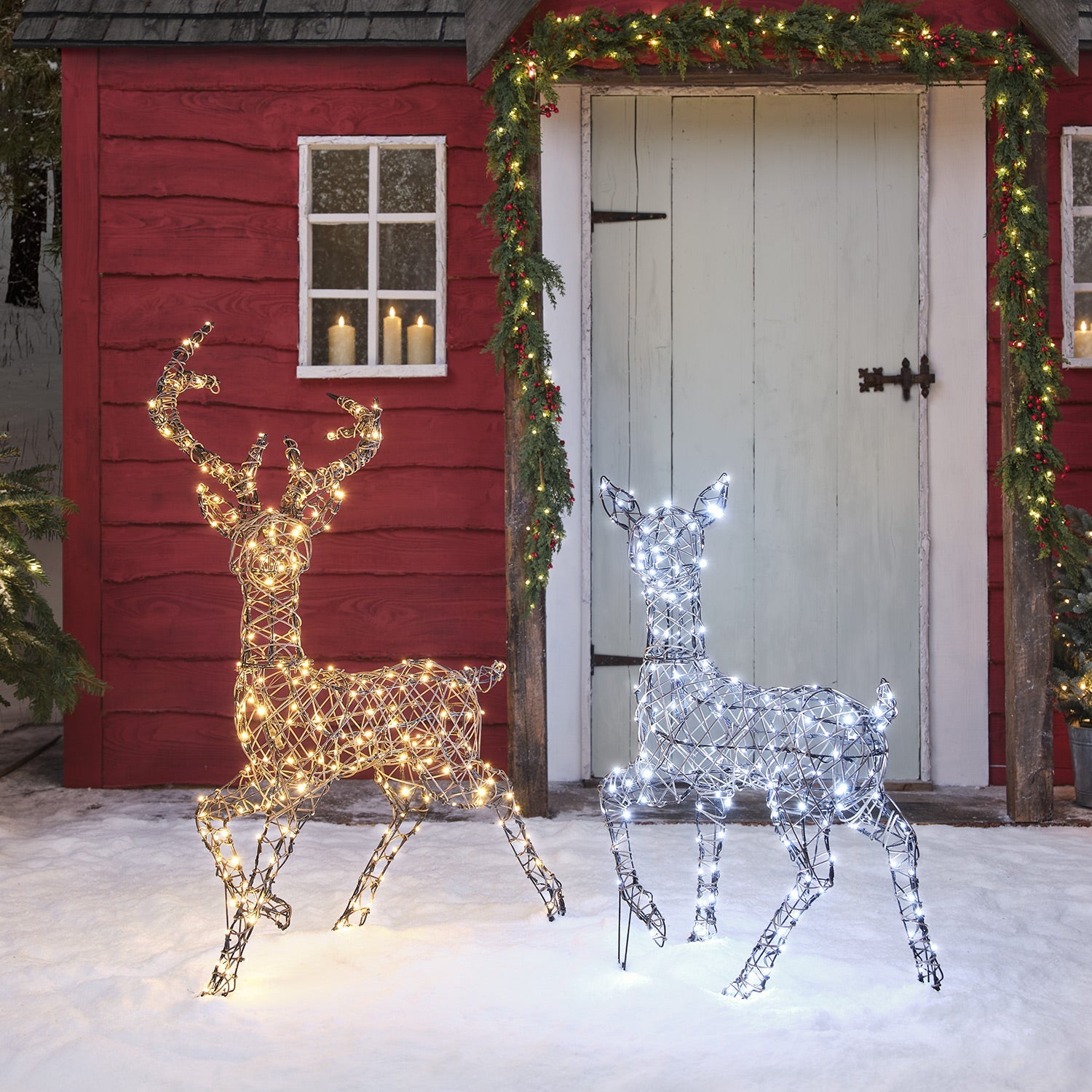 Dual LED Studley Stag & Doe Light Up Reindeer Duo