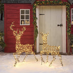 Dual LED Studley Stag & Doe Light Up Reindeer Duo