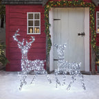 Dual LED Studley Stag & Doe Light Up Reindeer Duo