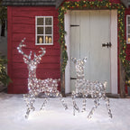 Dual LED Studley Stag & Doe Light Up Reindeer Duo