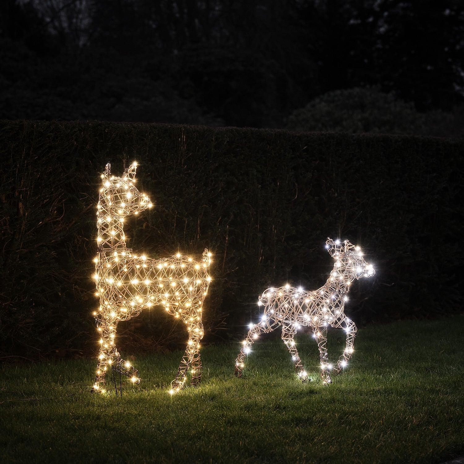 Dual LED Studley Doe & Fawn Light Up Reindeer Duo