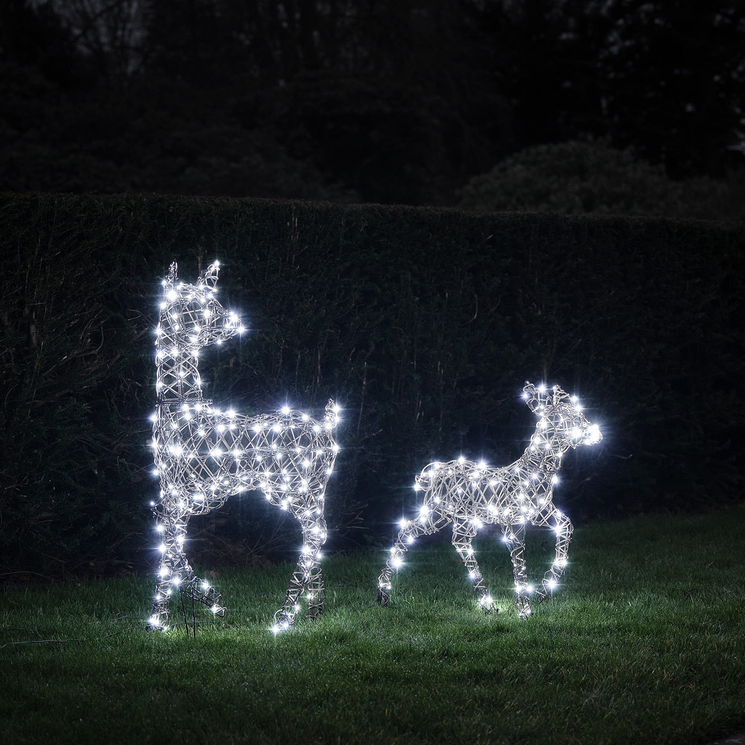 Dual LED Studley Doe & Fawn Light Up Reindeer Duo