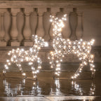 Dual LED Studley Doe & Fawn Light Up Reindeer Duo