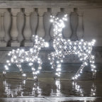 Dual LED Studley Doe & Fawn Light Up Reindeer Duo