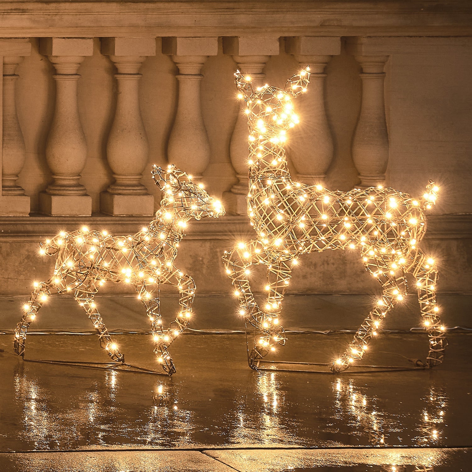 Dual LED Studley Doe & Fawn Light Up Reindeer Duo