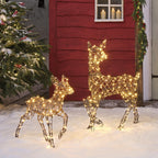 Dual LED Studley Doe & Fawn Light Up Reindeer Duo
