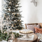 Regular Glass Dome Bell Jar 20cm